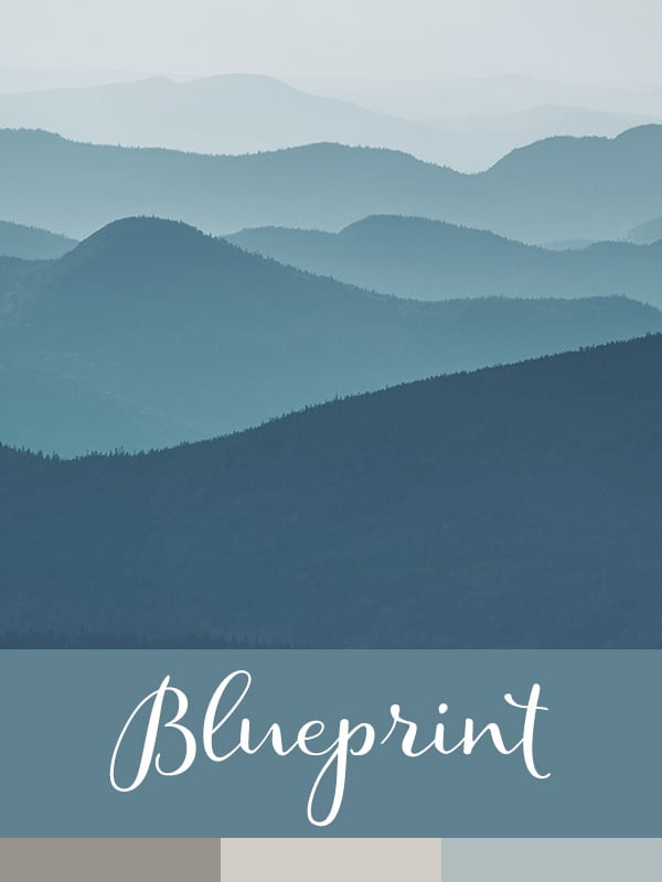 color of the year blueprint